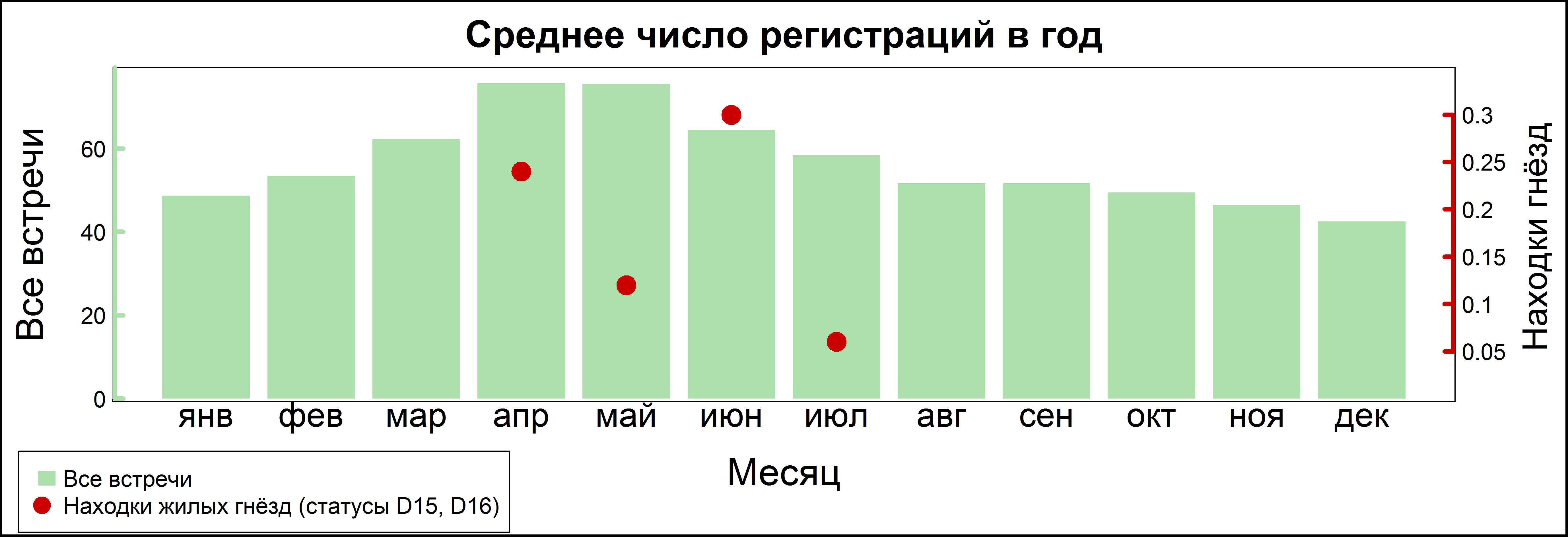 Серебристая чайка