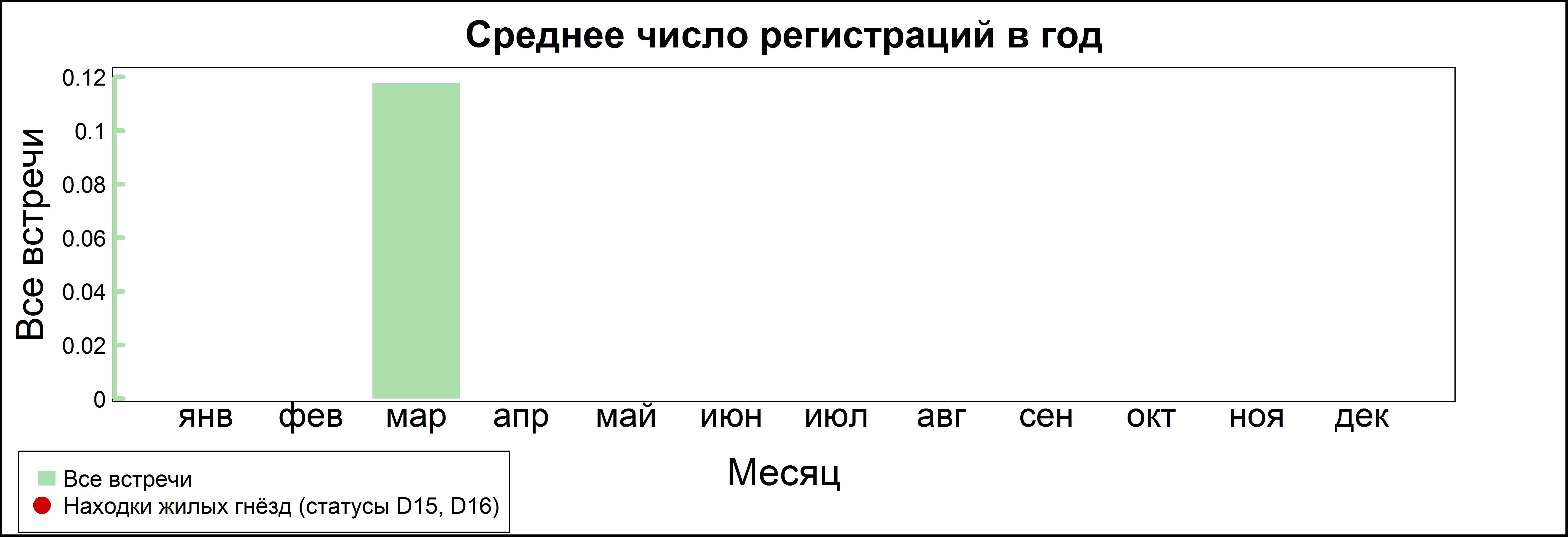 Средиземноморская чайка