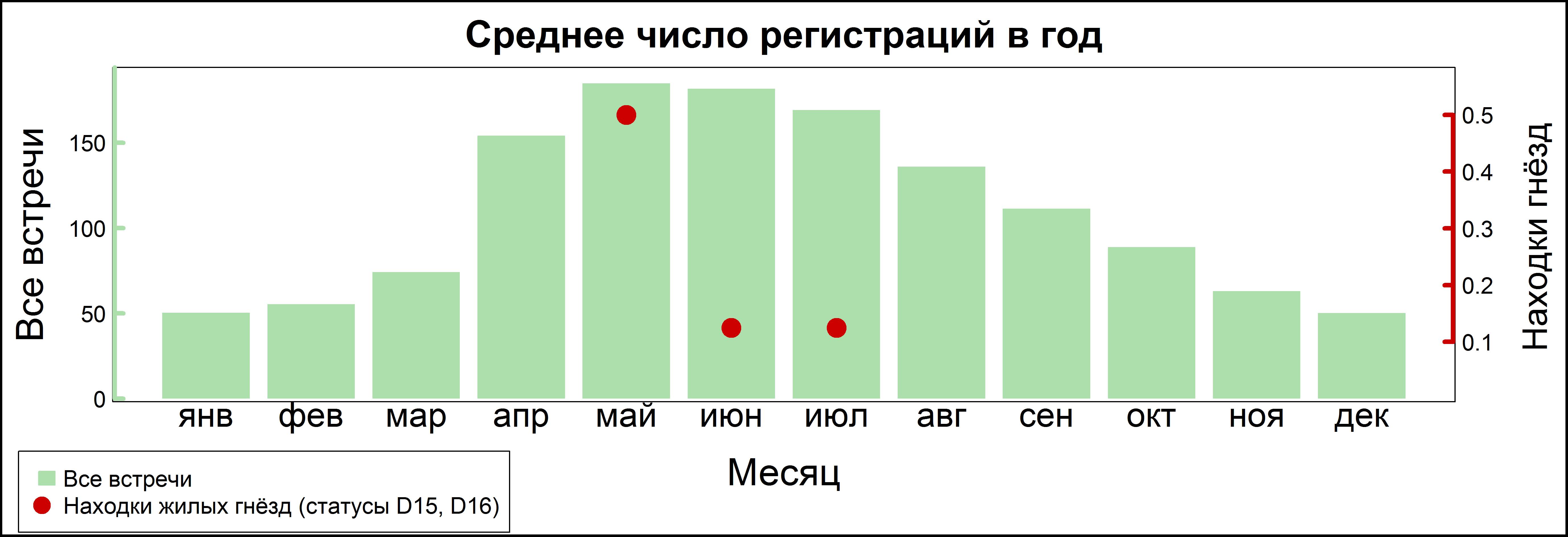 Сизая чайка