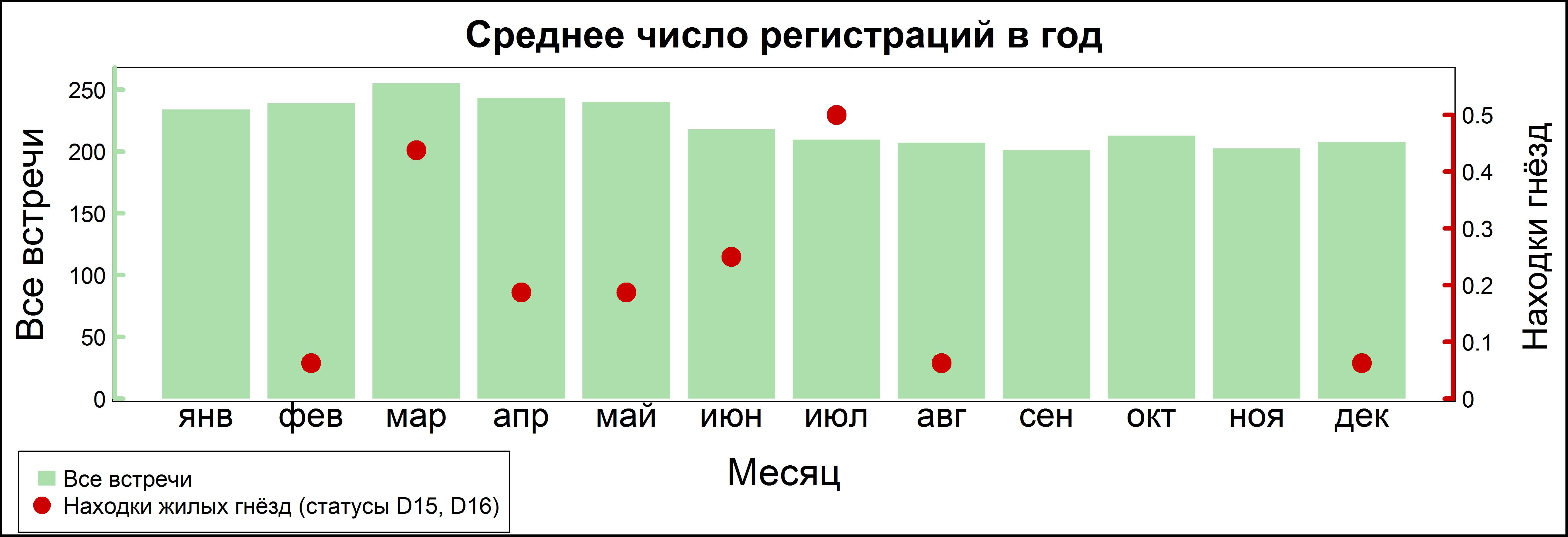 Сизый голубь