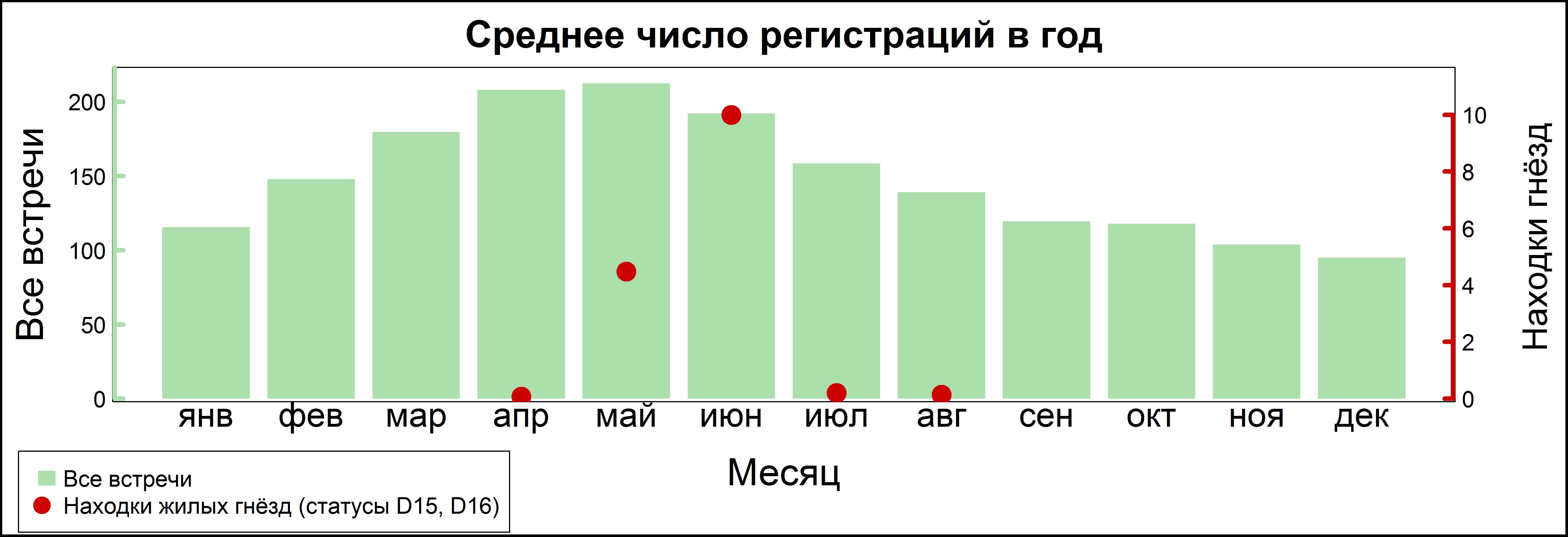 Большой пёстрый дятел