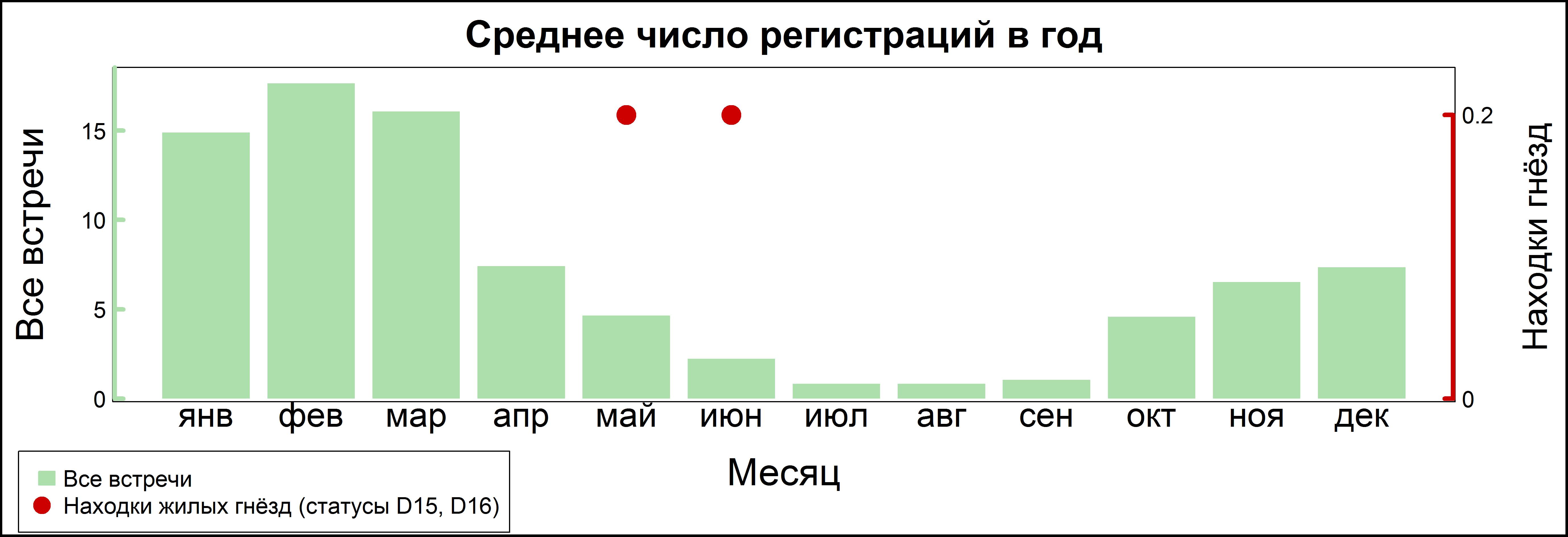 Средний пёстрый дятел