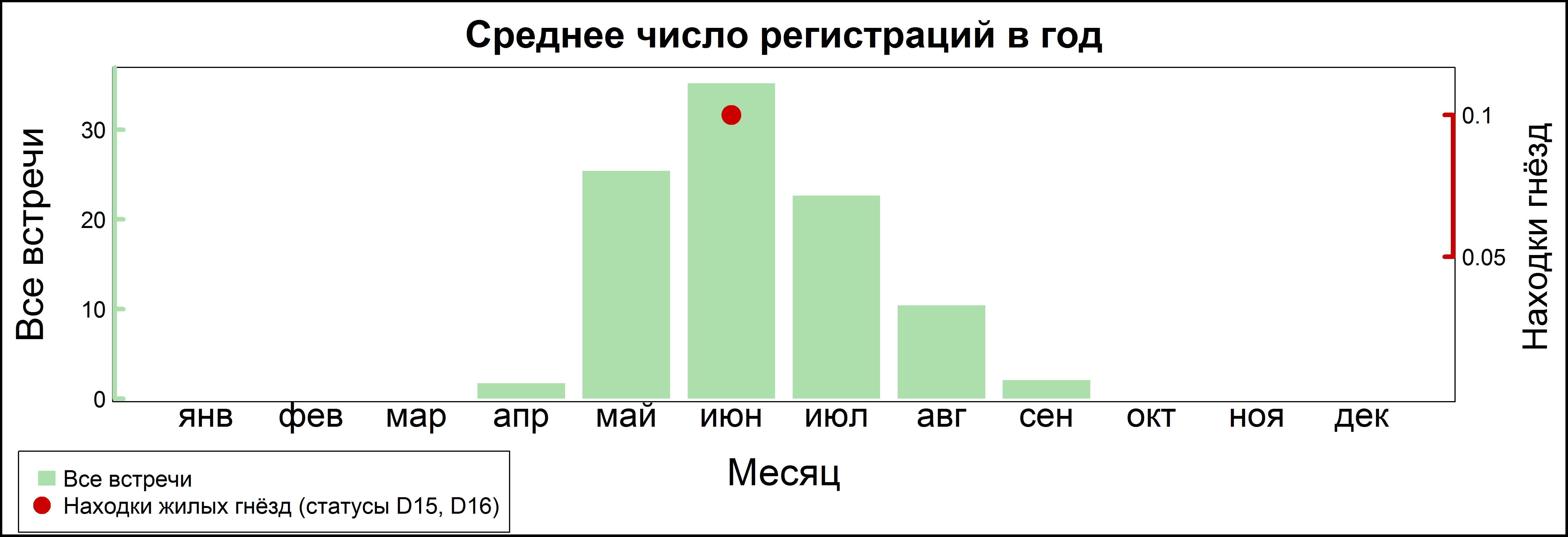 Жёлтая трясогузка