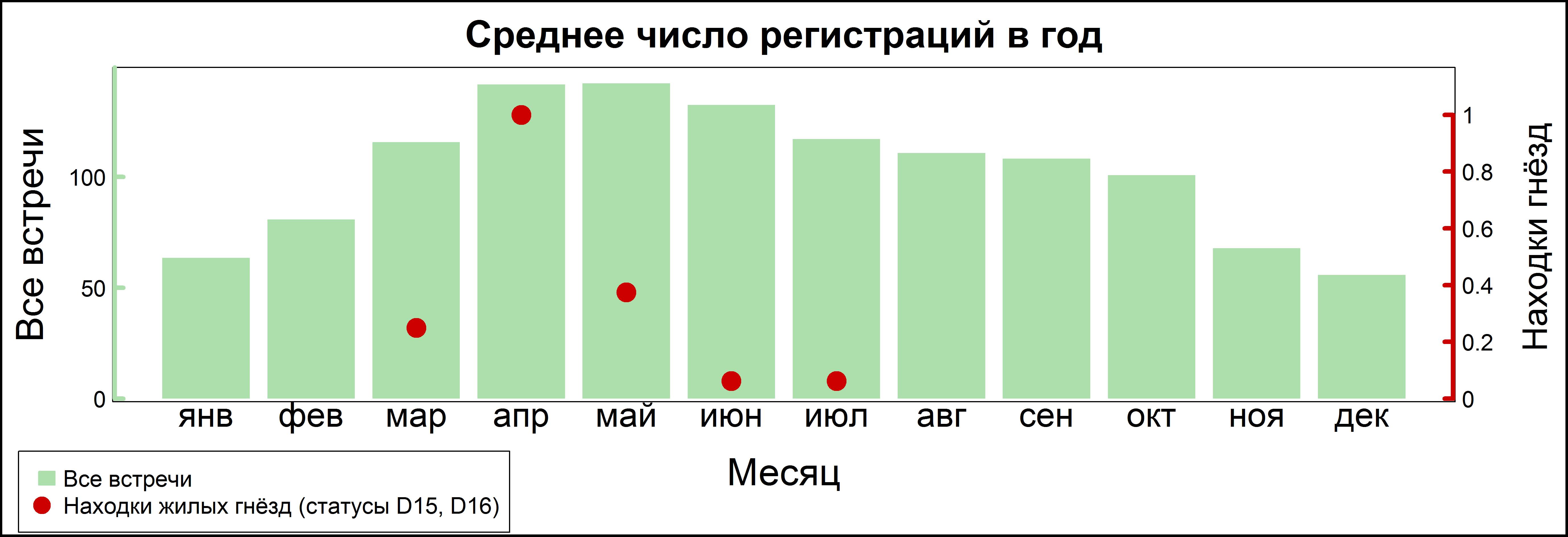 Сорока