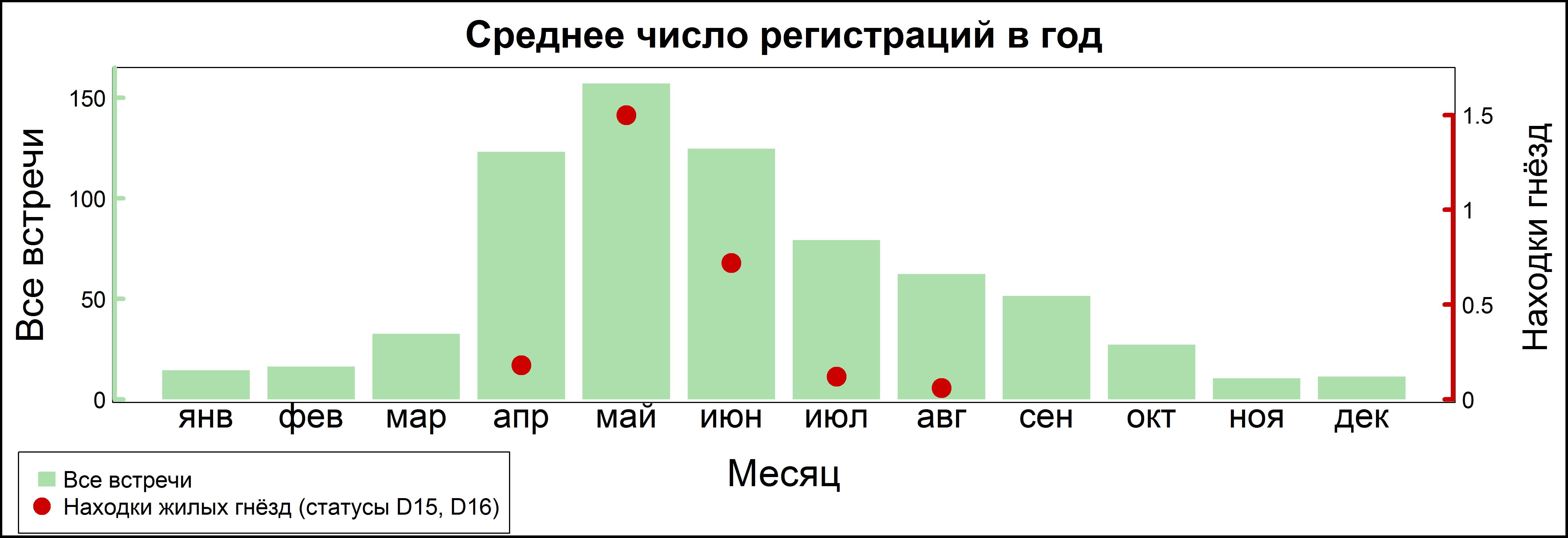 Чёрный дрозд