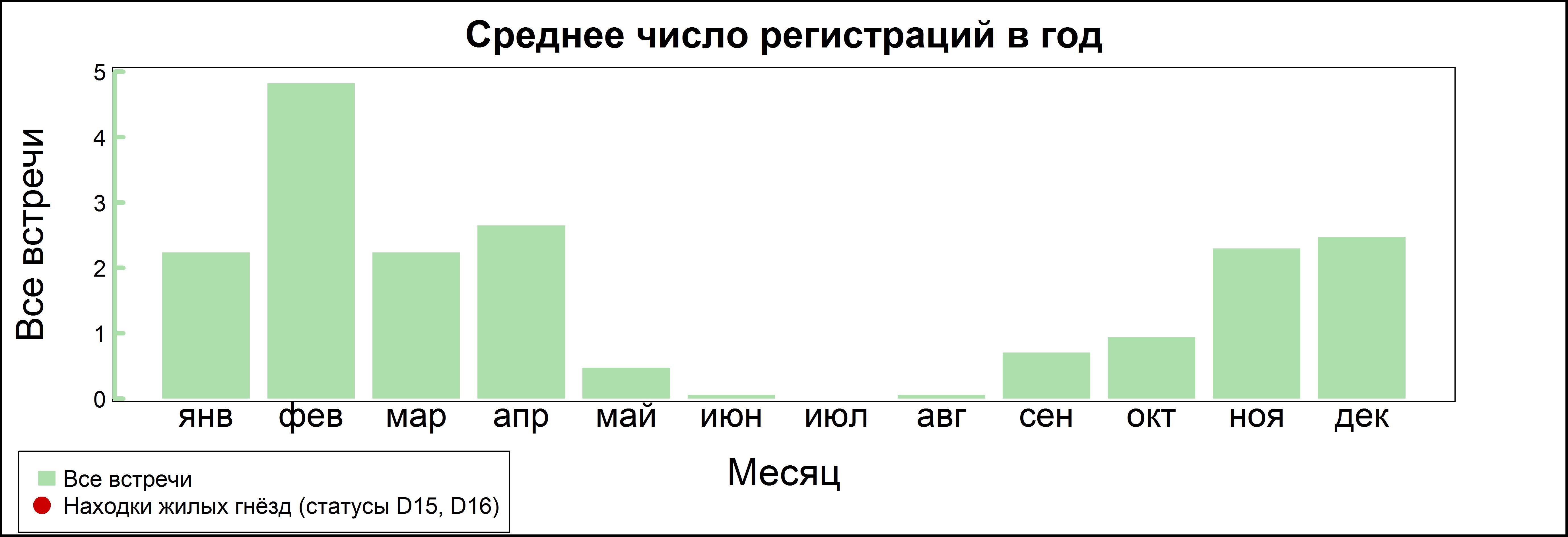 Шилохвость 