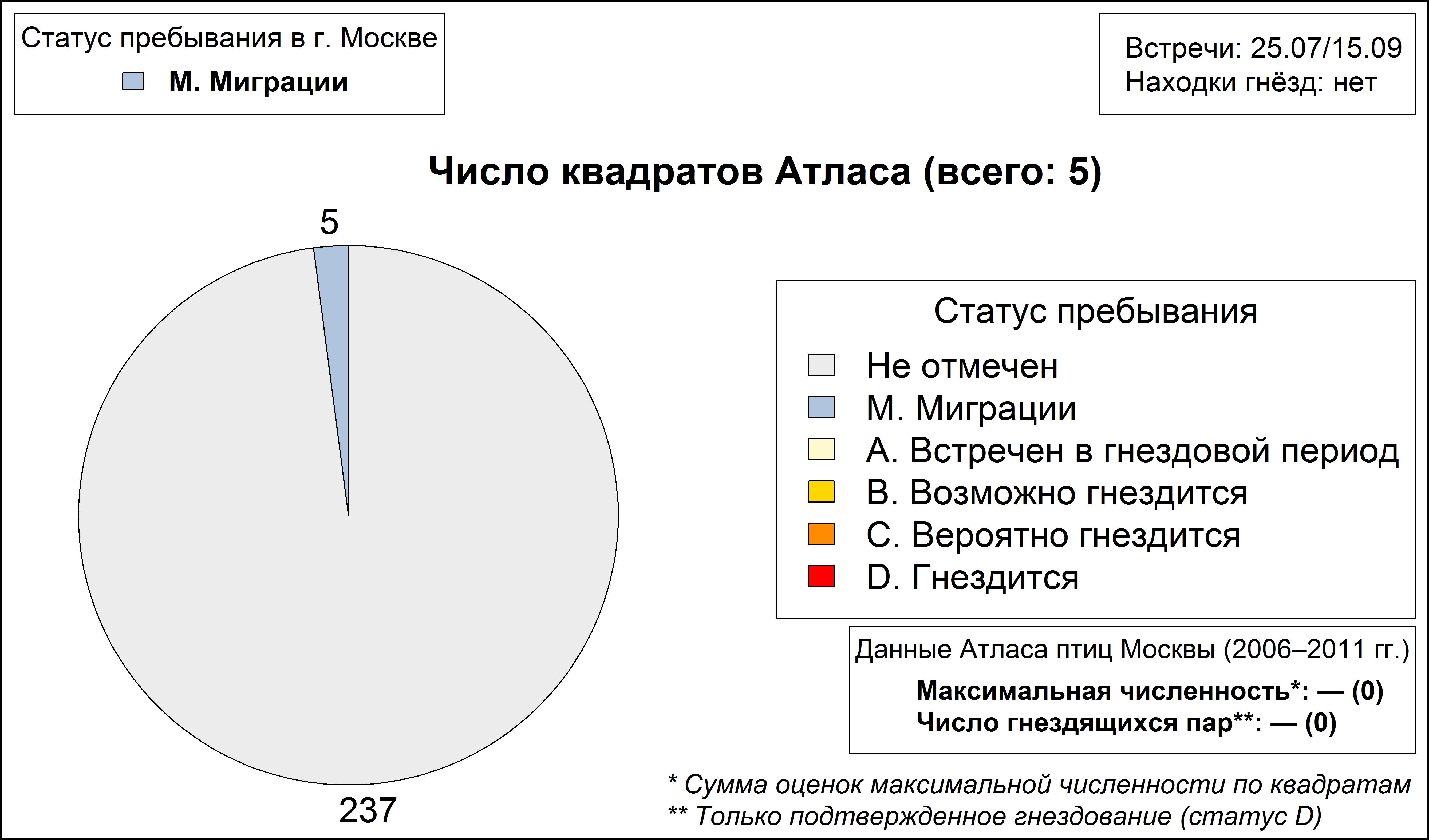 Круглоносый плавунчик