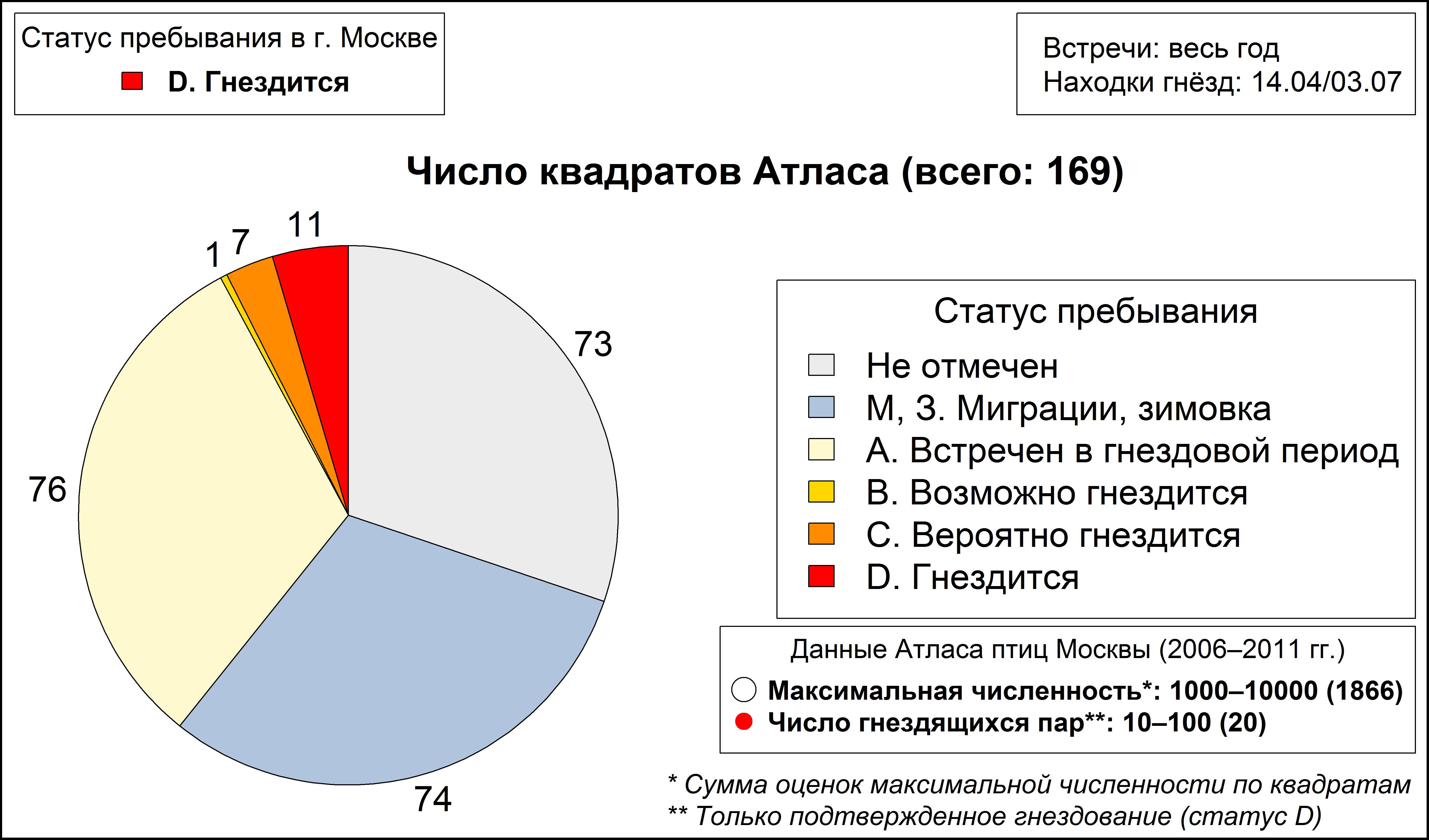 Серебристая чайка