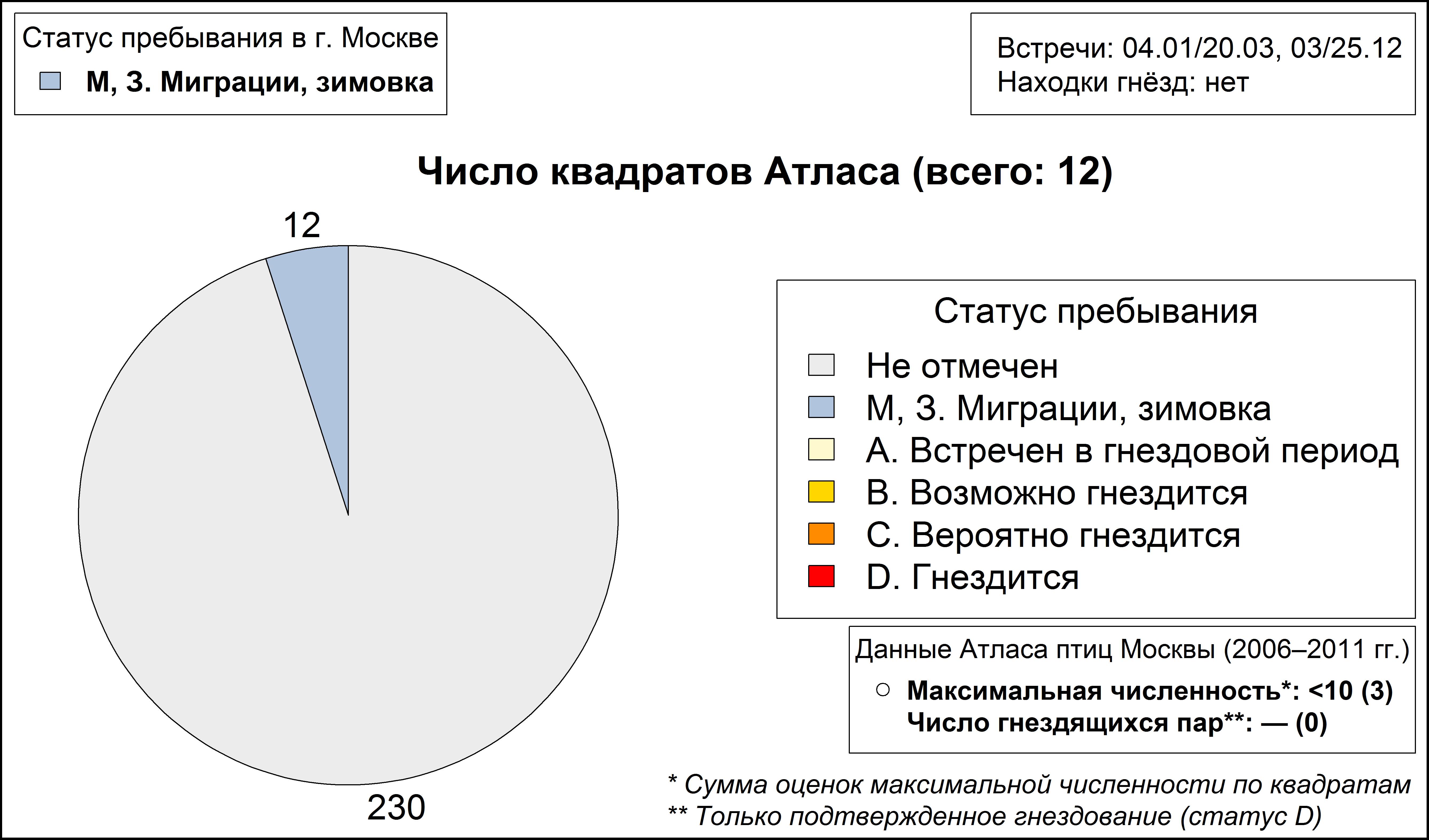 Морская чайка 