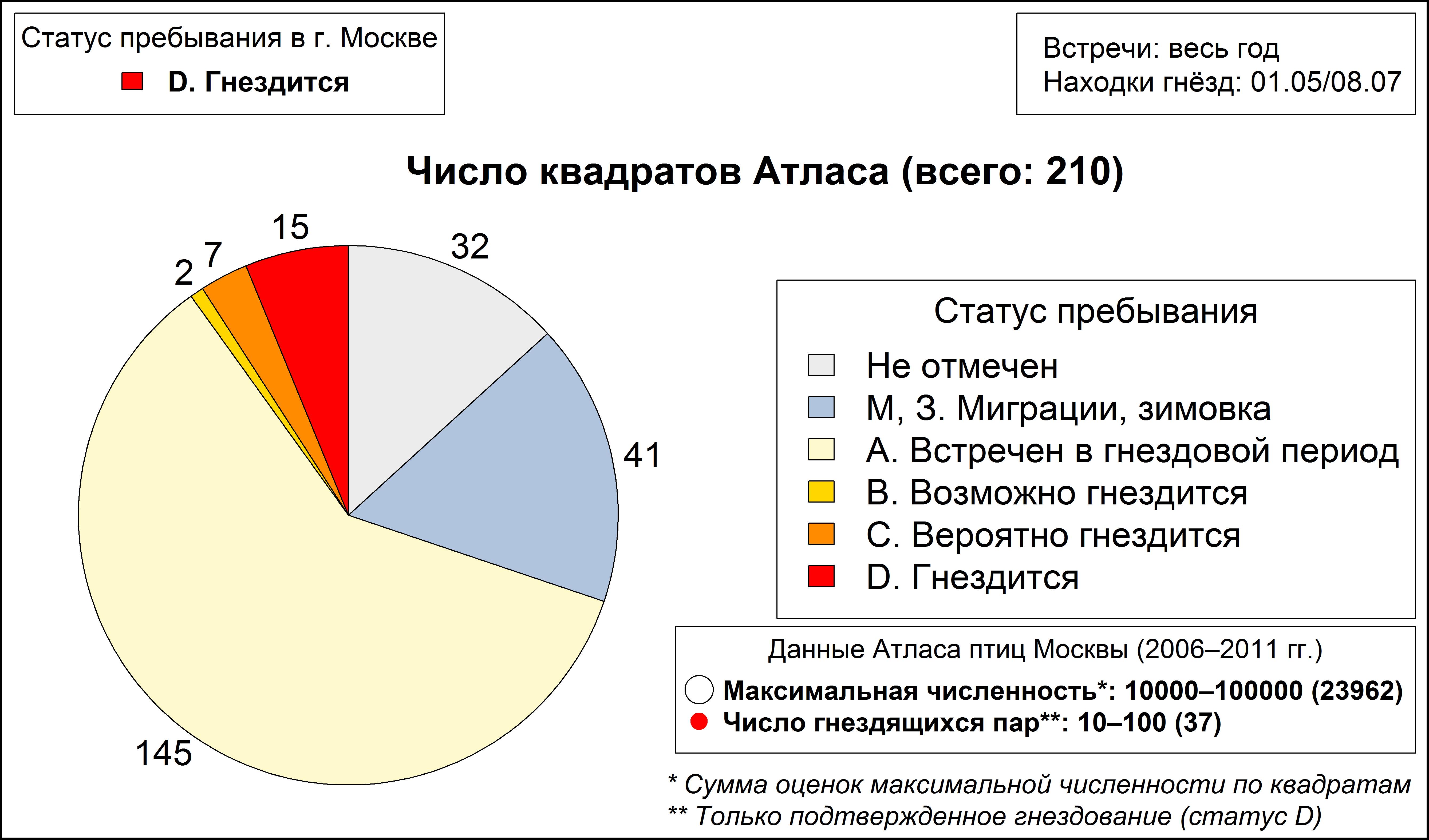 Сизая чайка