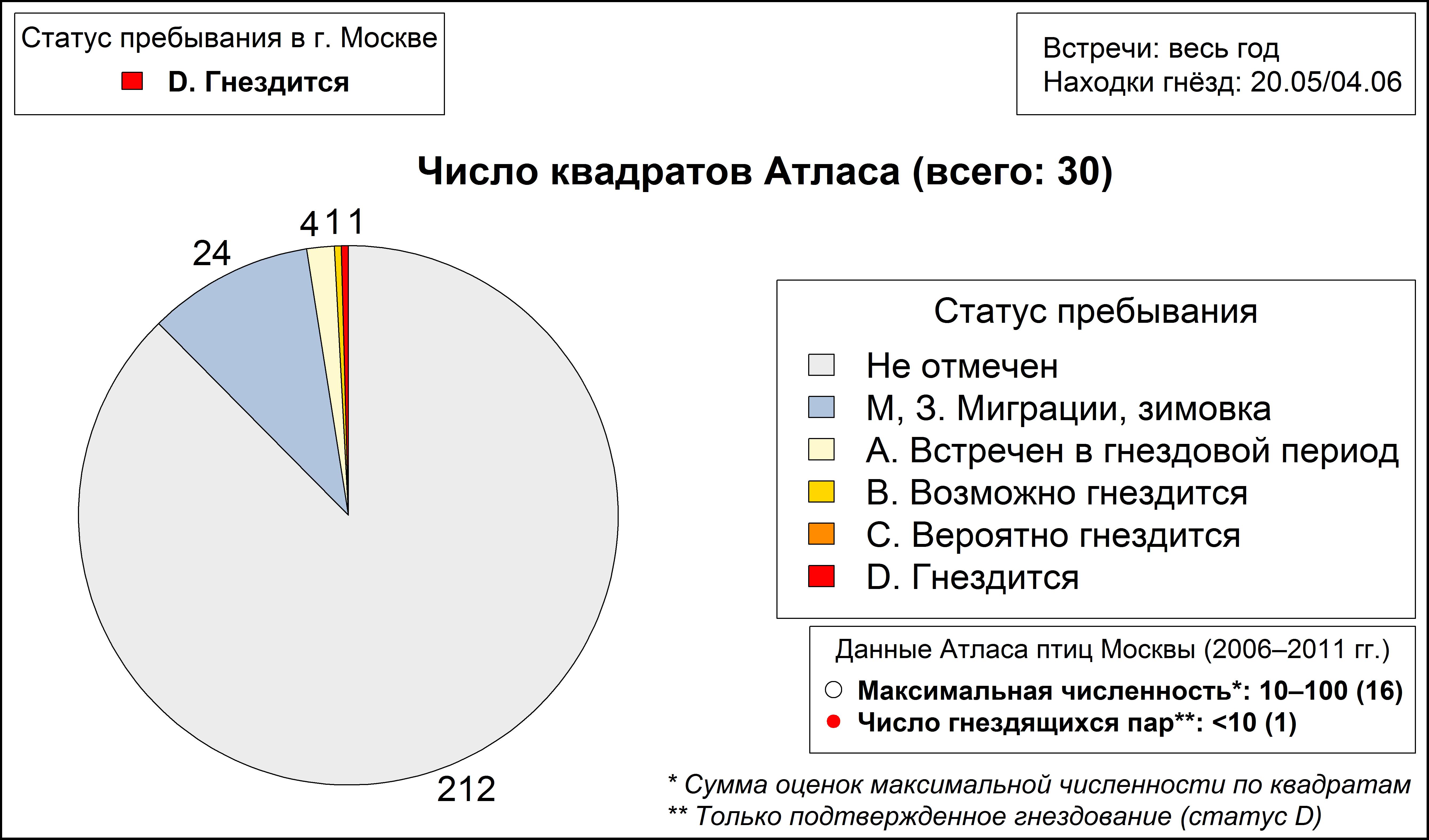 Длиннохвостая неясыть