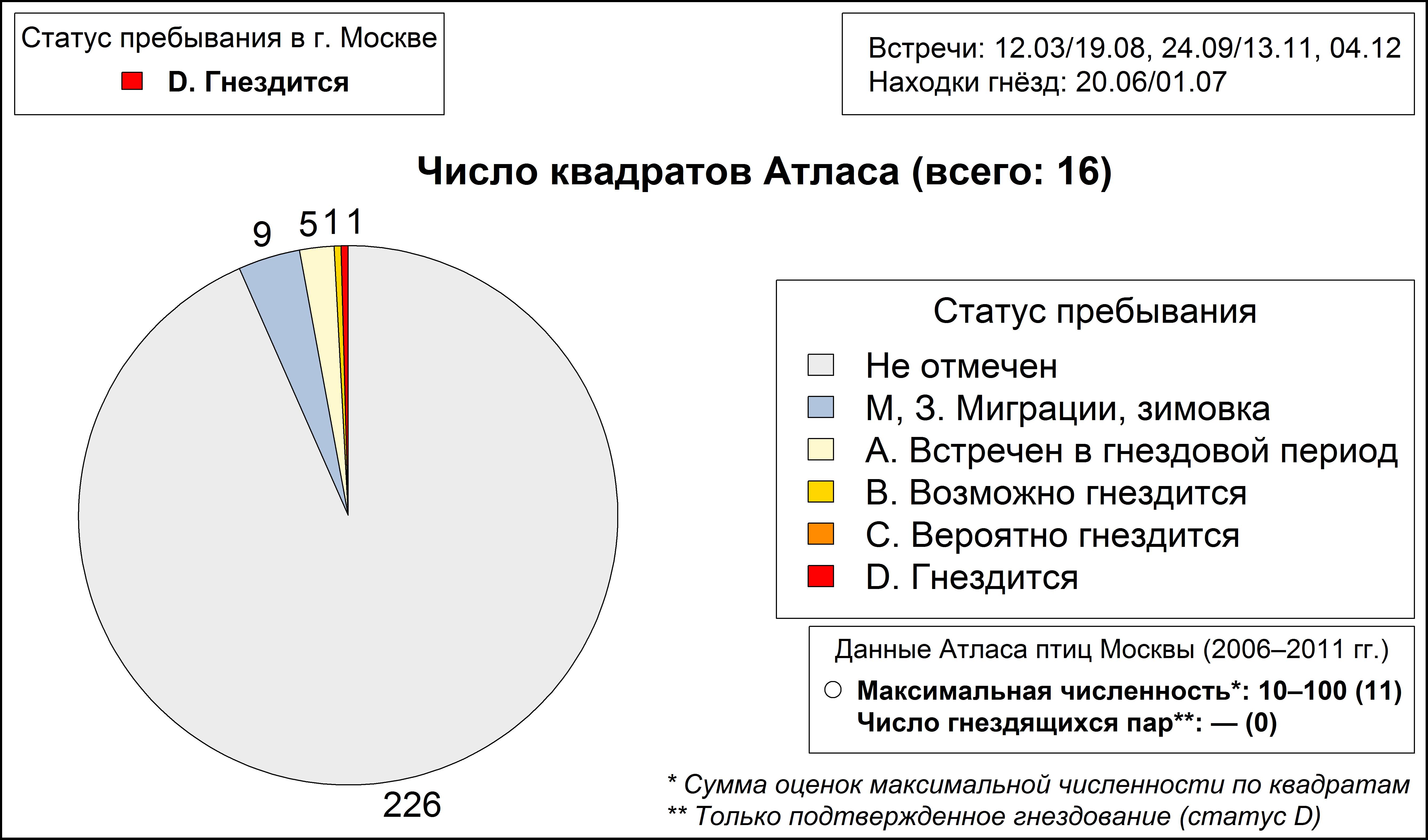 Обыкновенный зимородок 