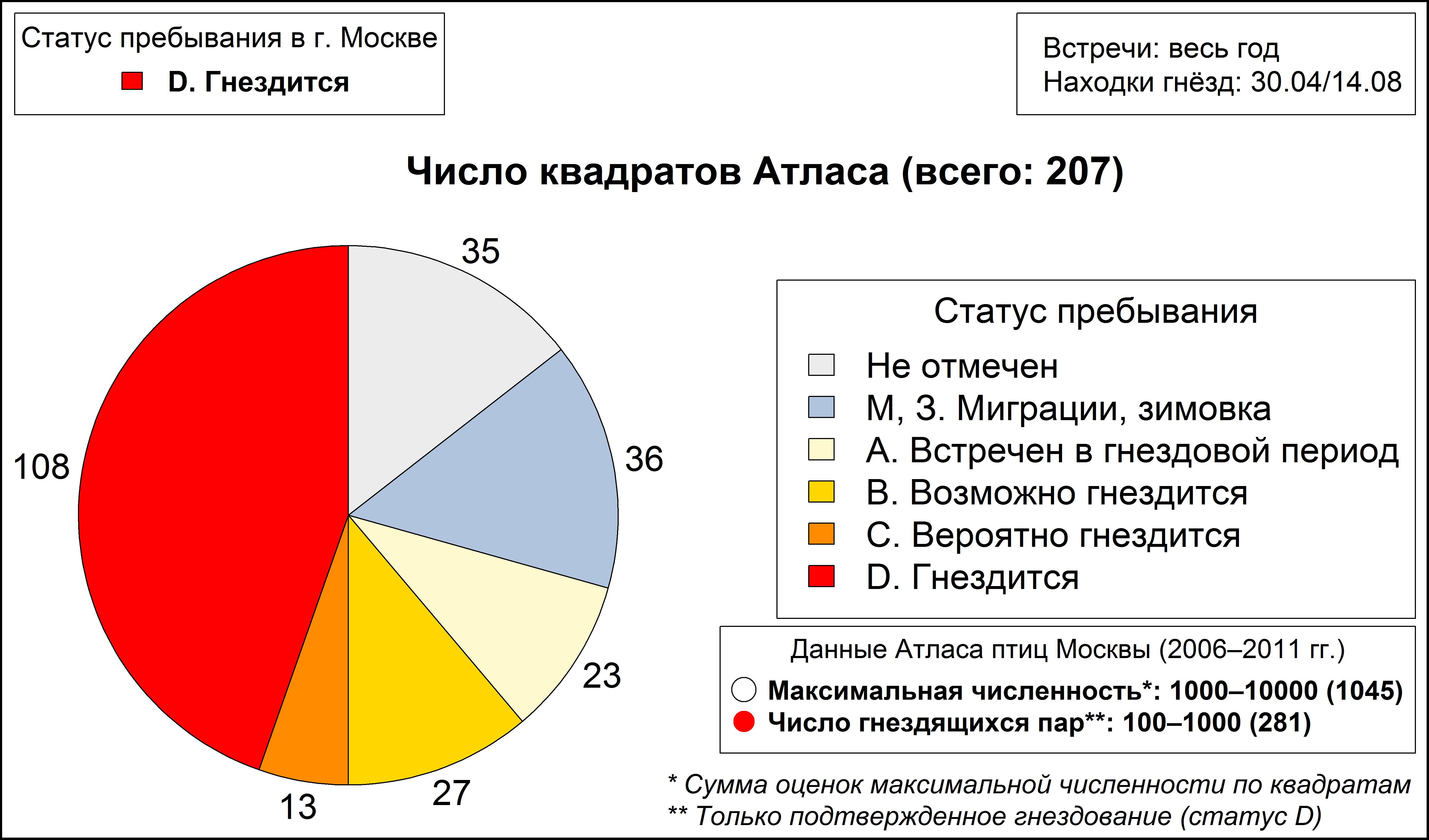 Большой пёстрый дятел