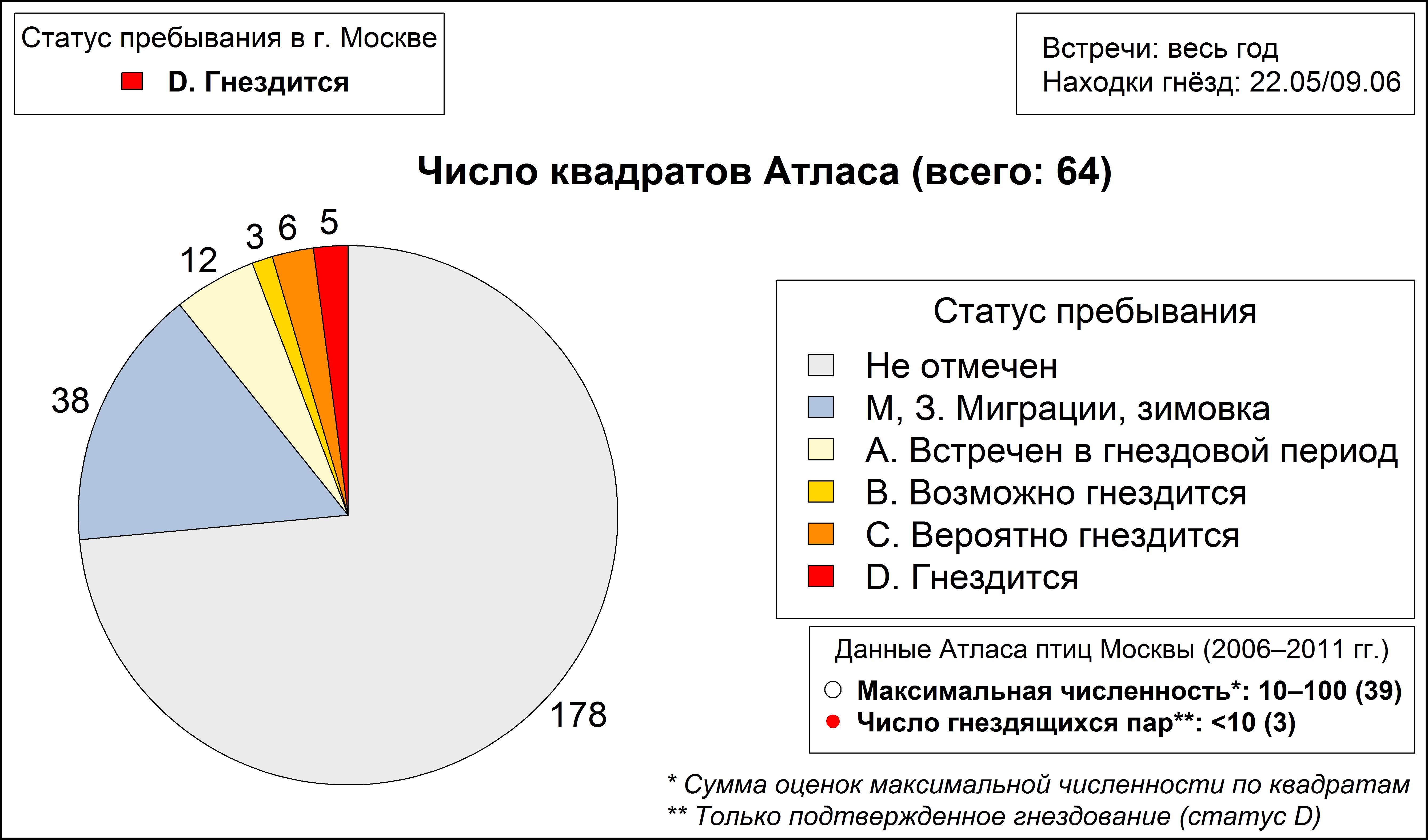 Средний пёстрый дятел