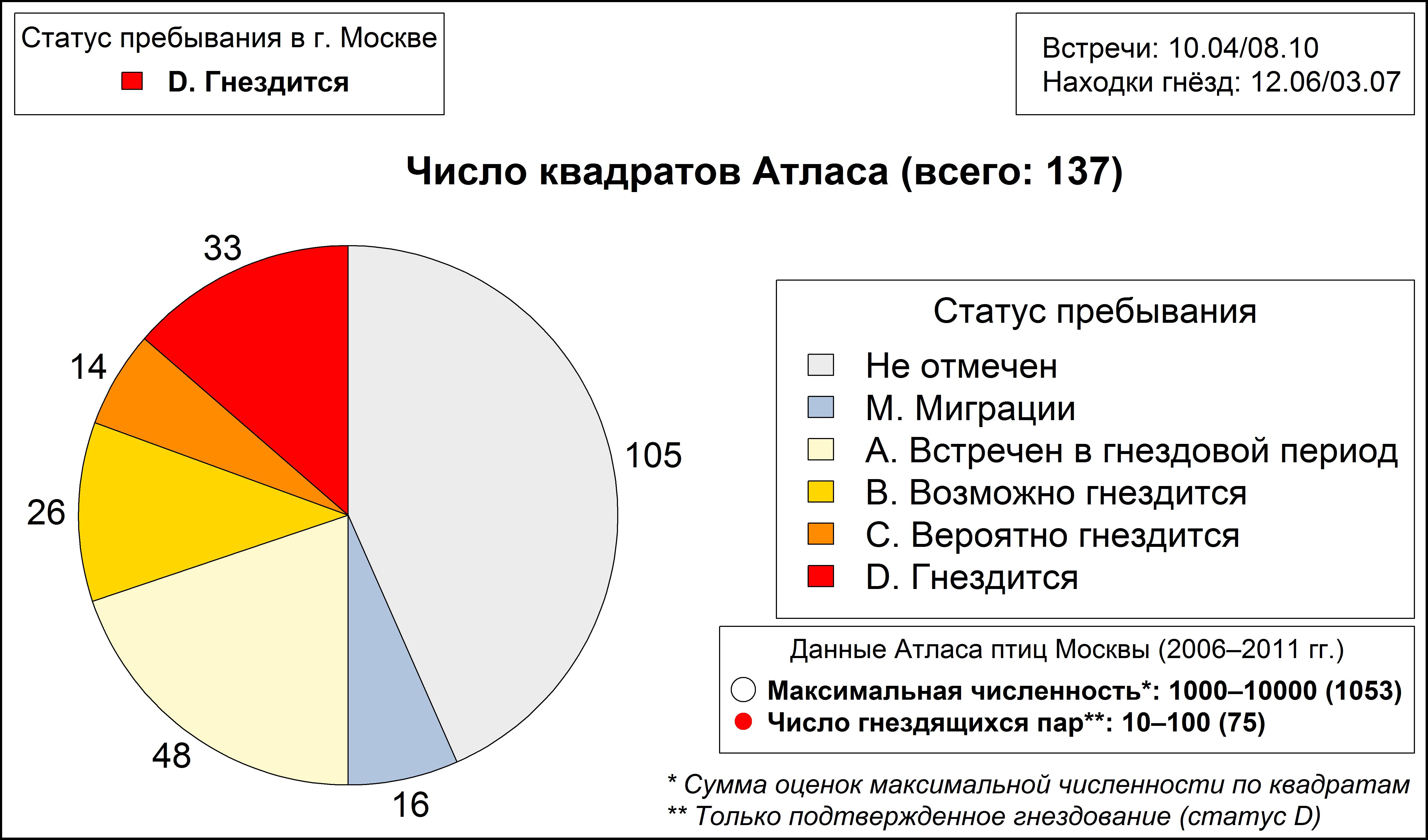 Деревенская ласточка, или касатка