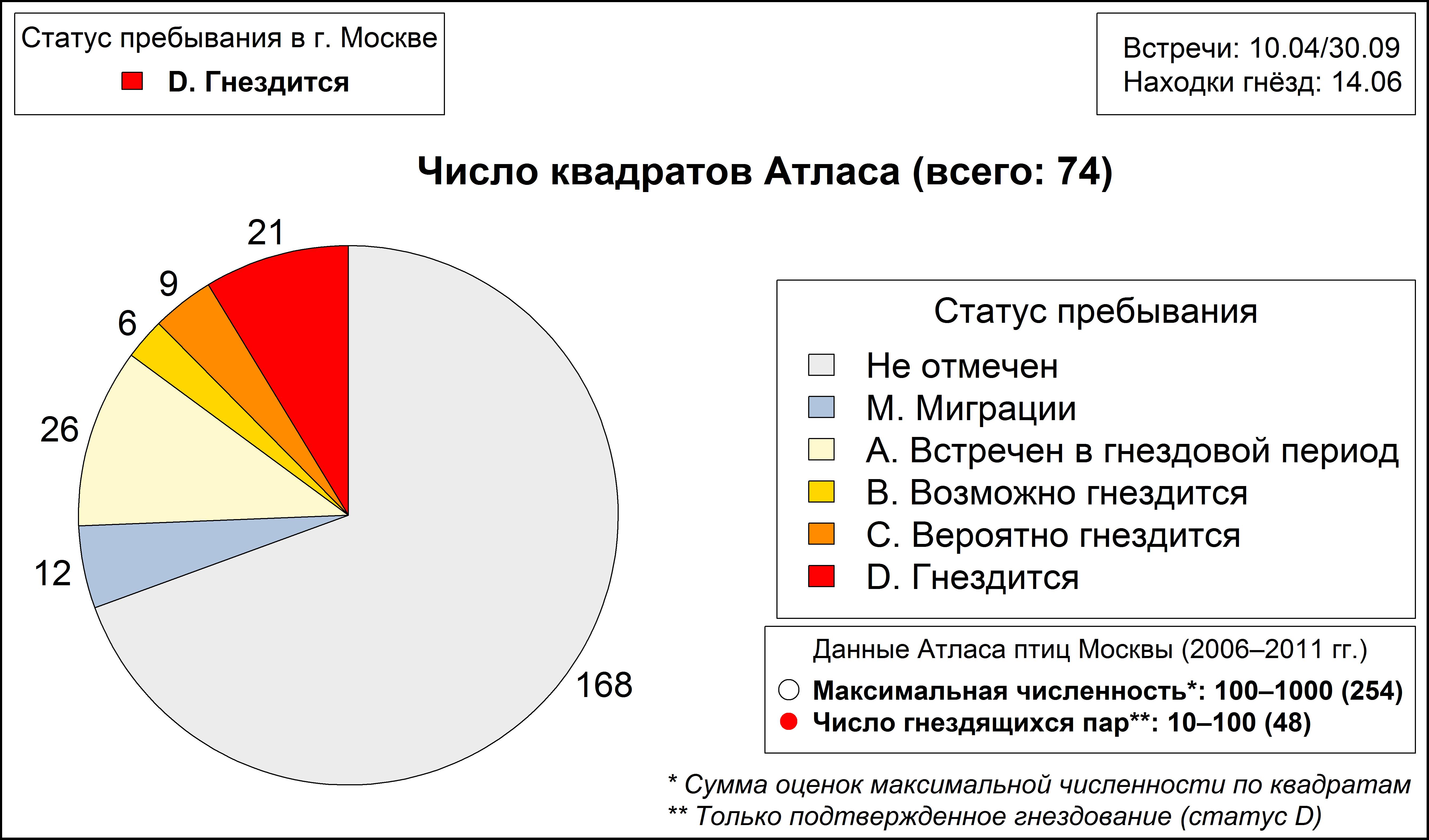 Жёлтая трясогузка