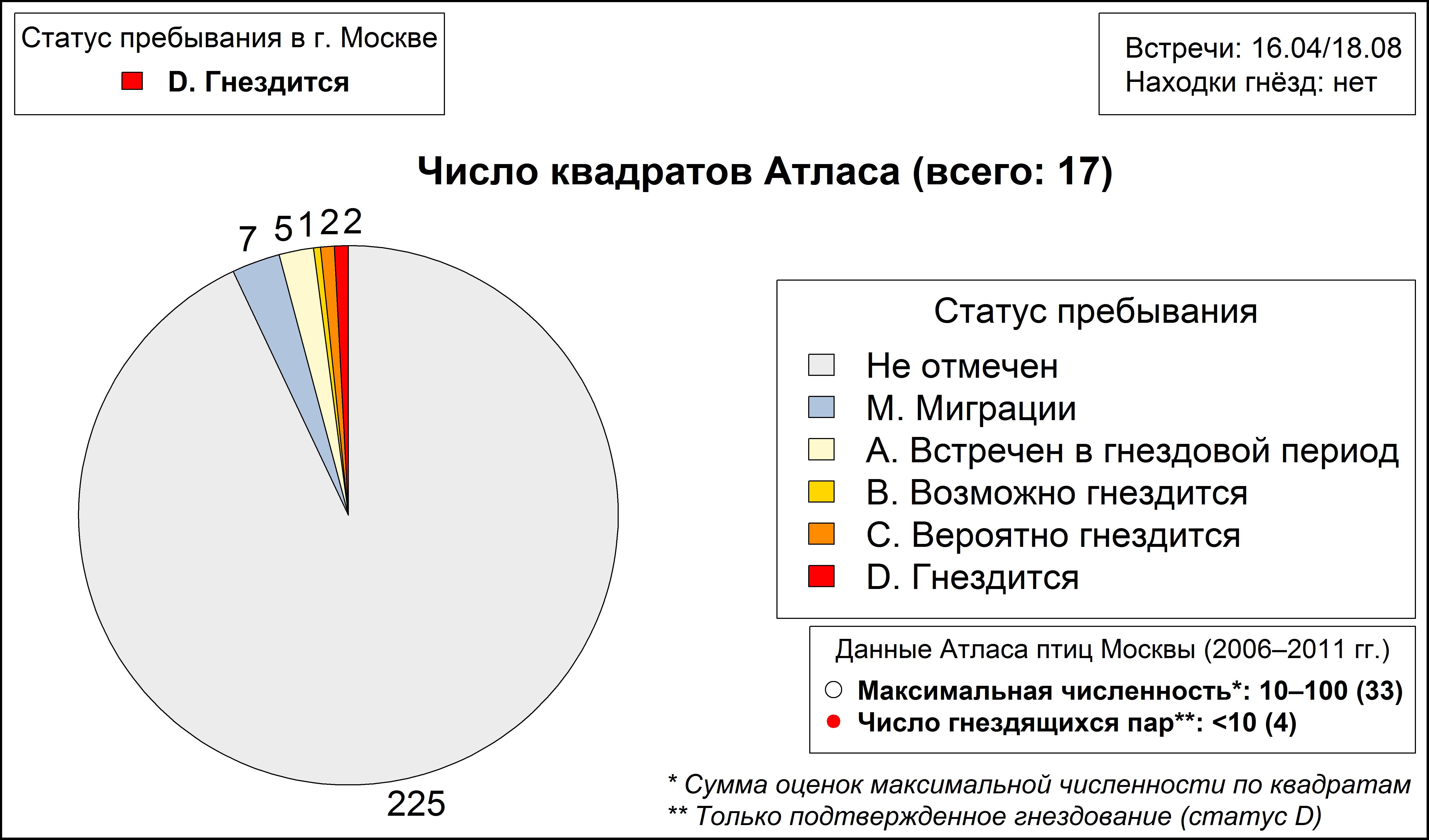 Малая желтоголовая трясогузка