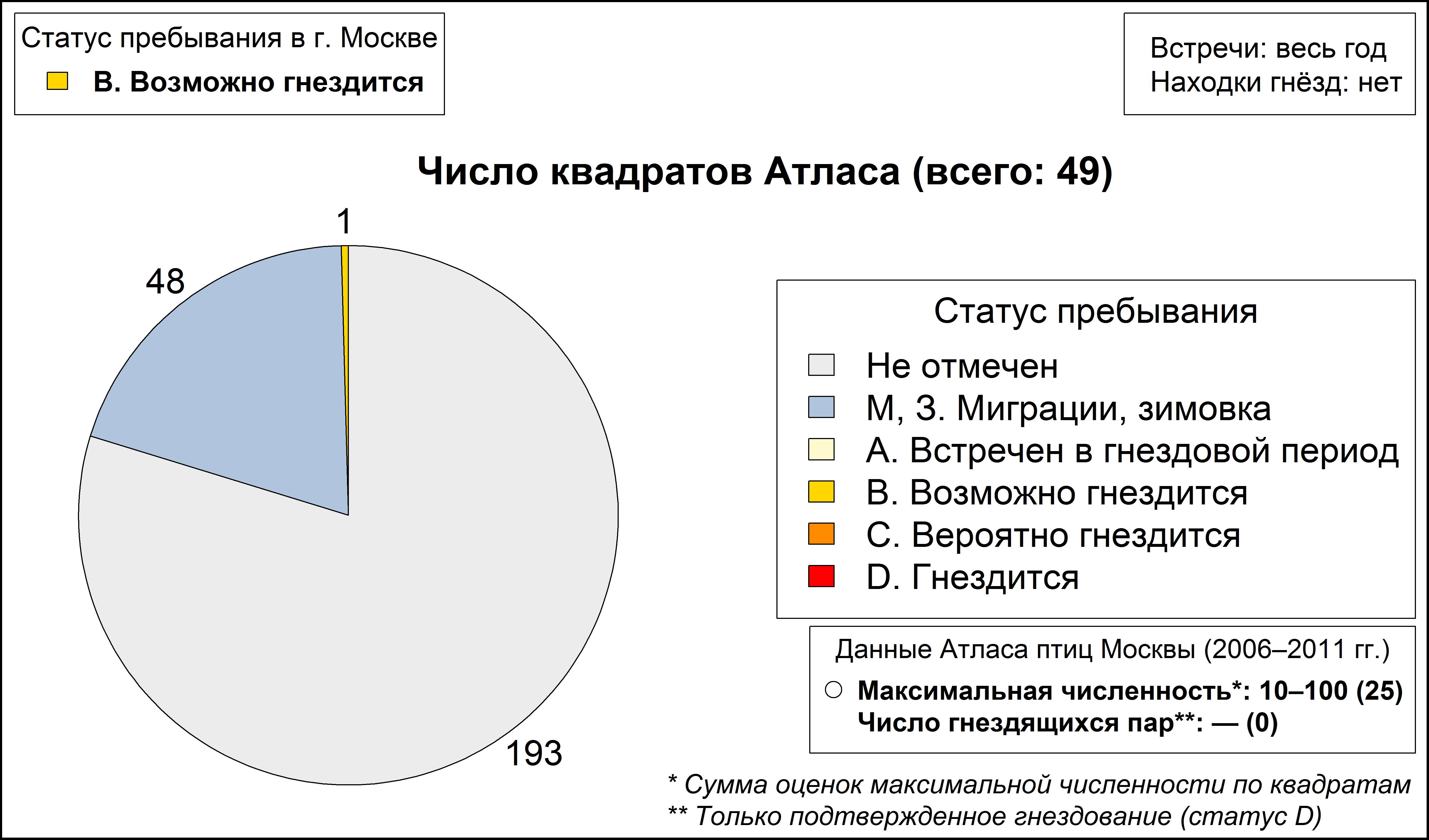 Серый сорокопут