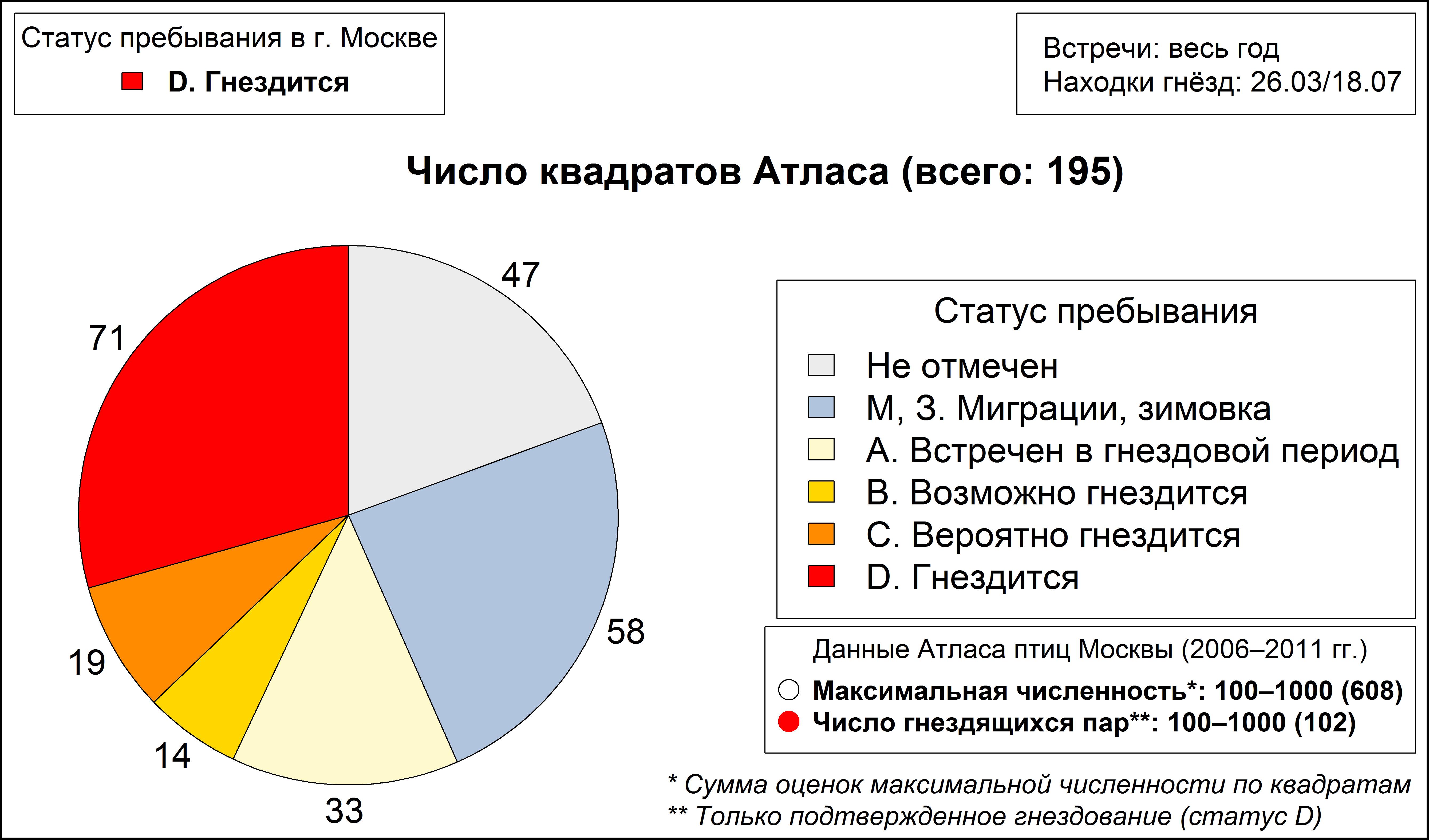 Сорока