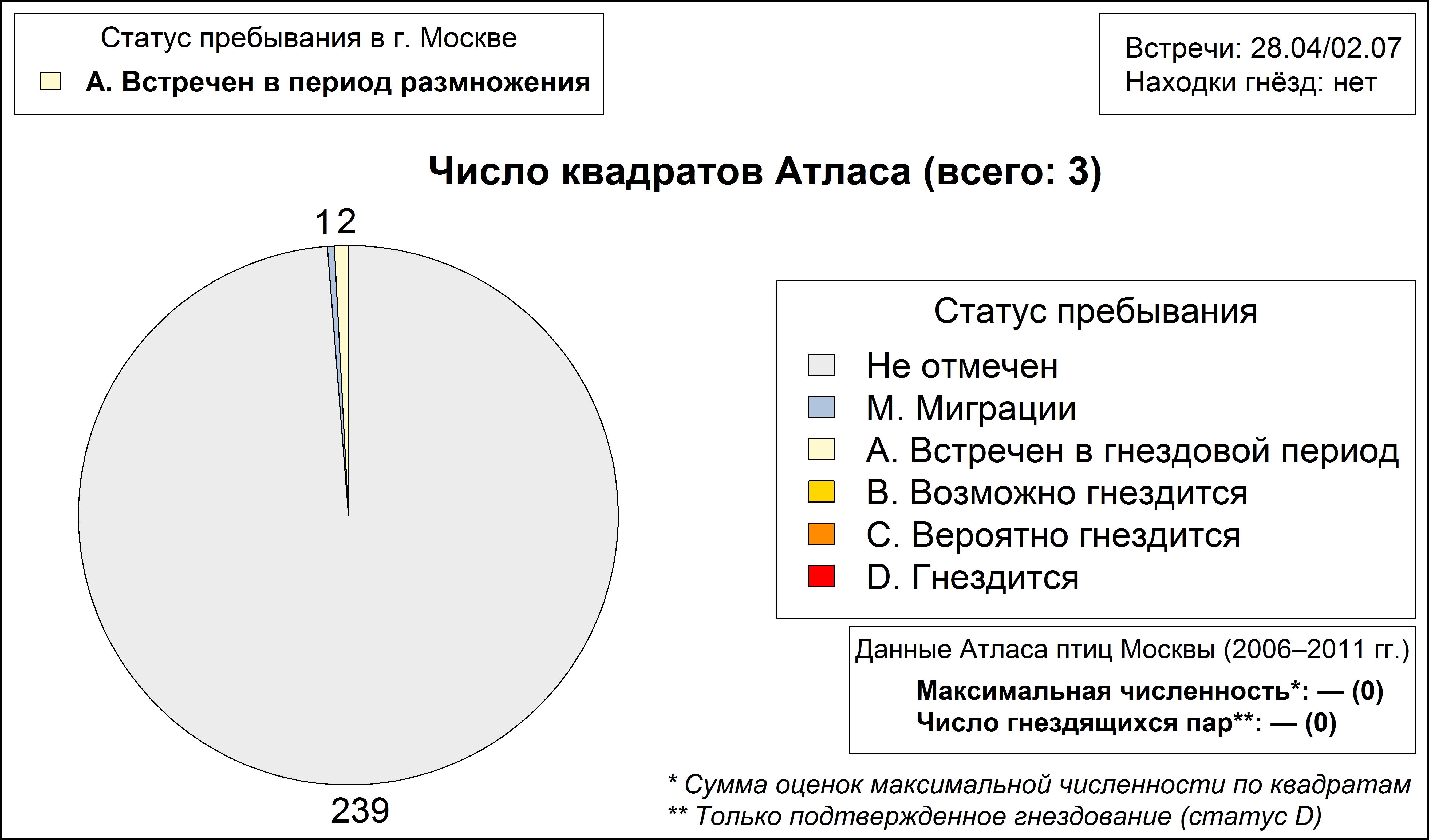 Черноголовый чекан