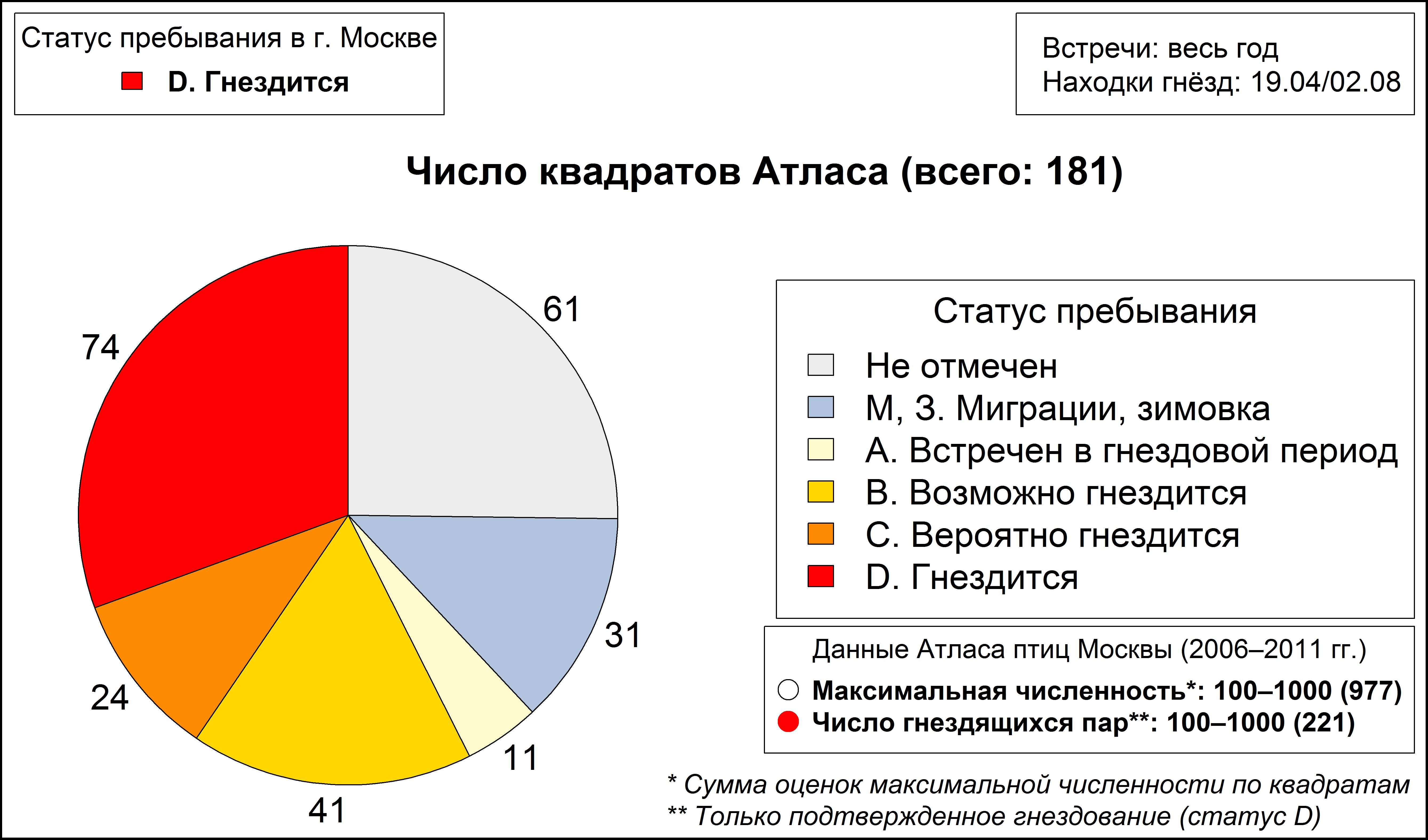 Чёрный дрозд