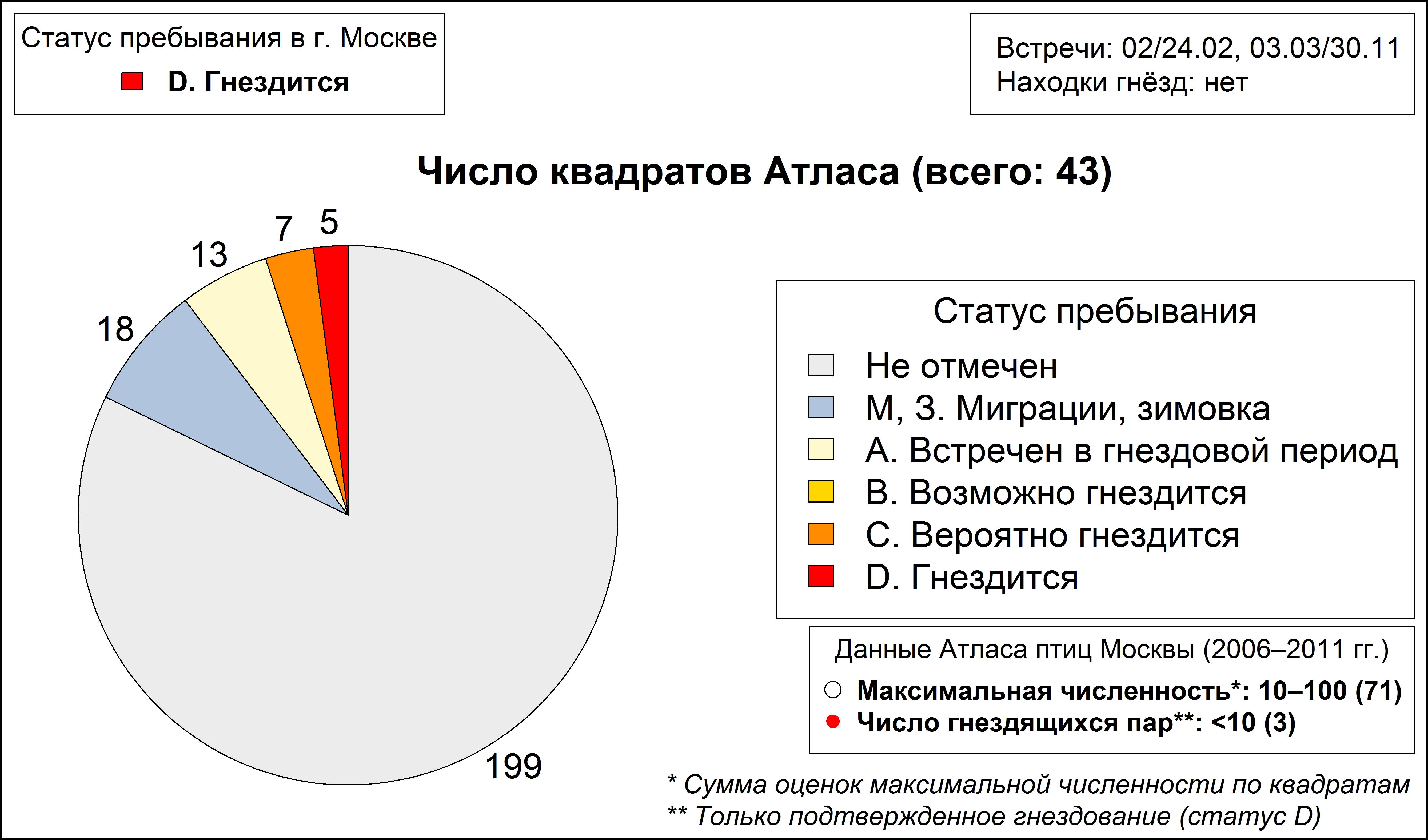 Широконоска 