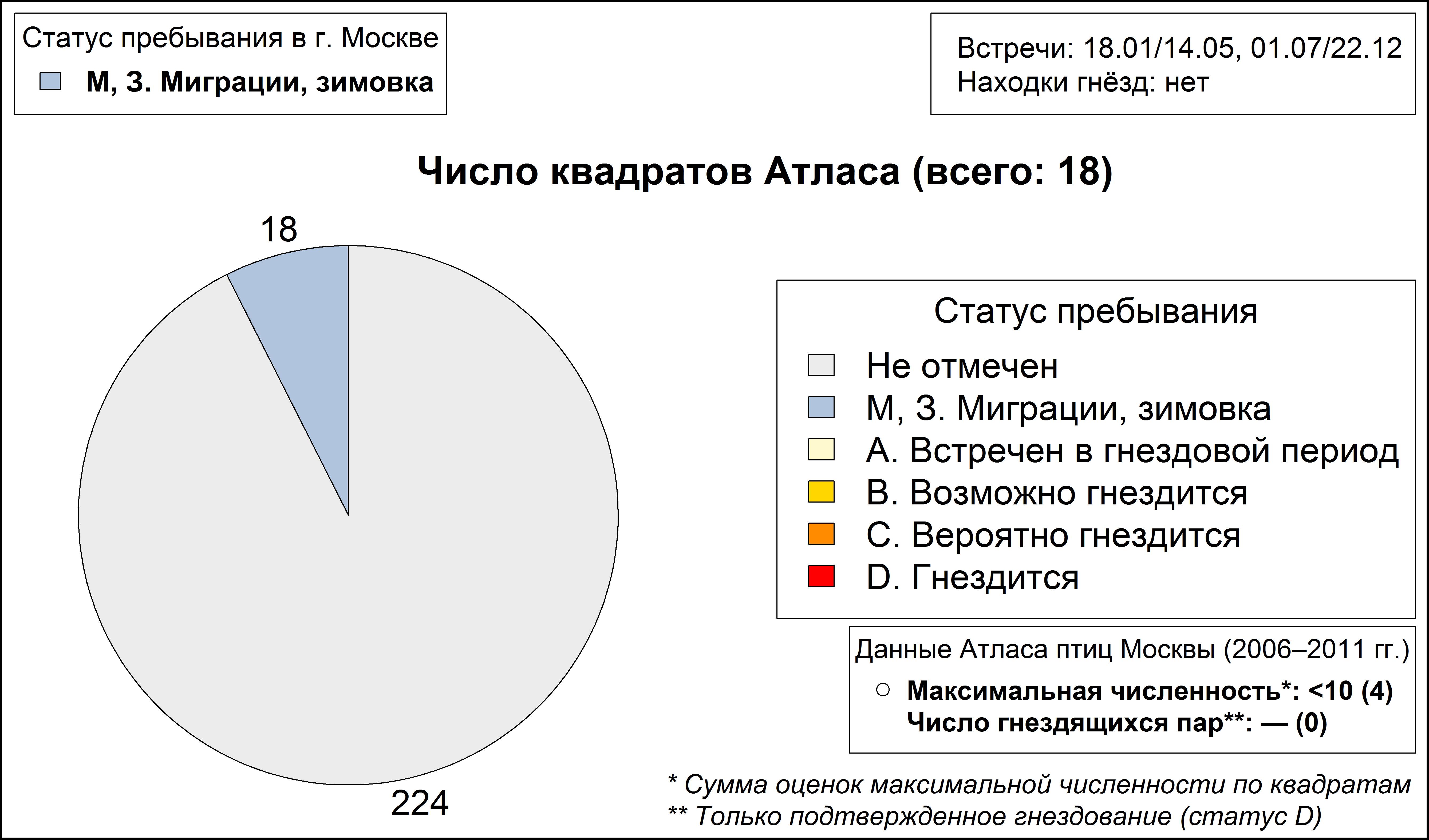 Kрасноносый нырок