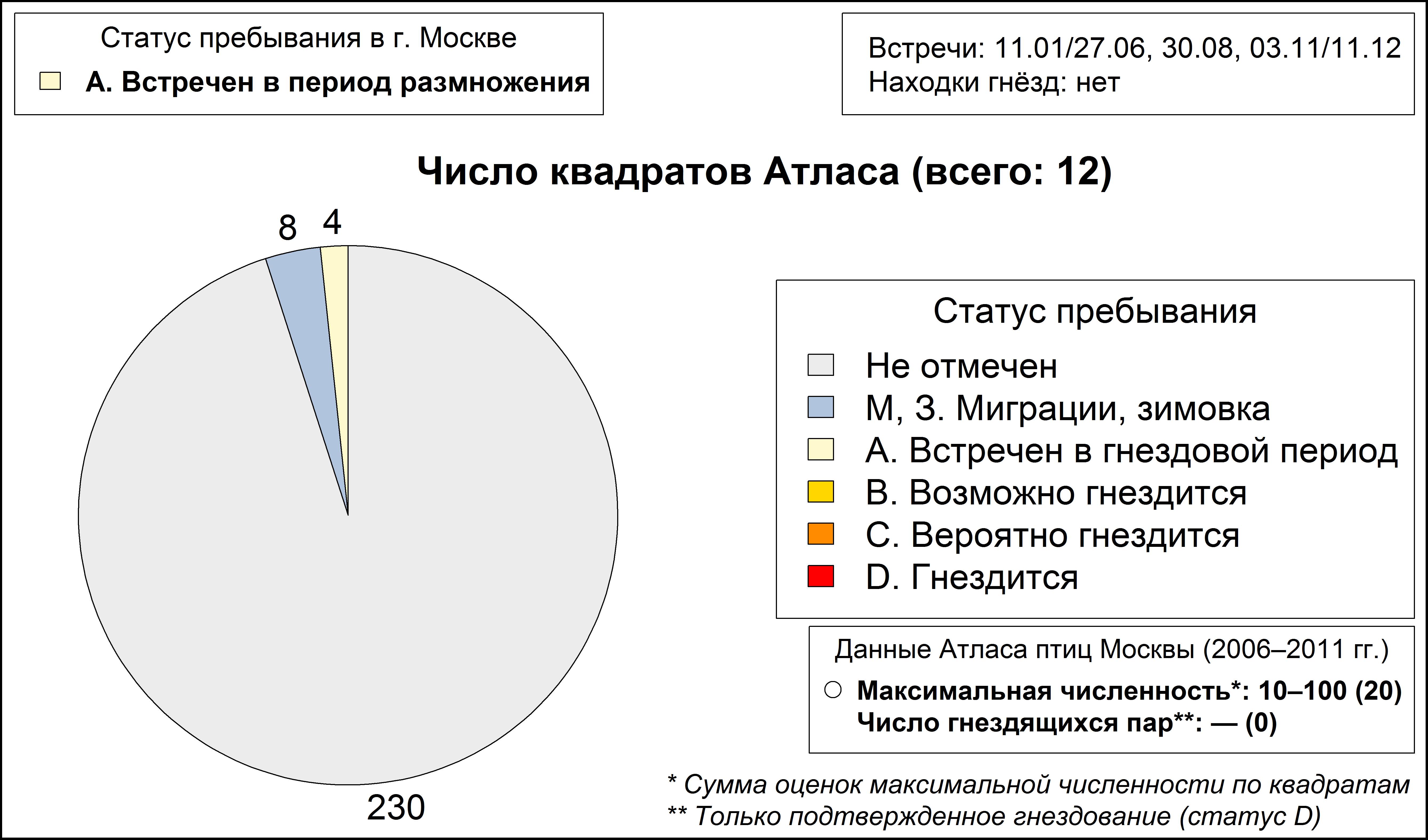 Белоглазый нырок