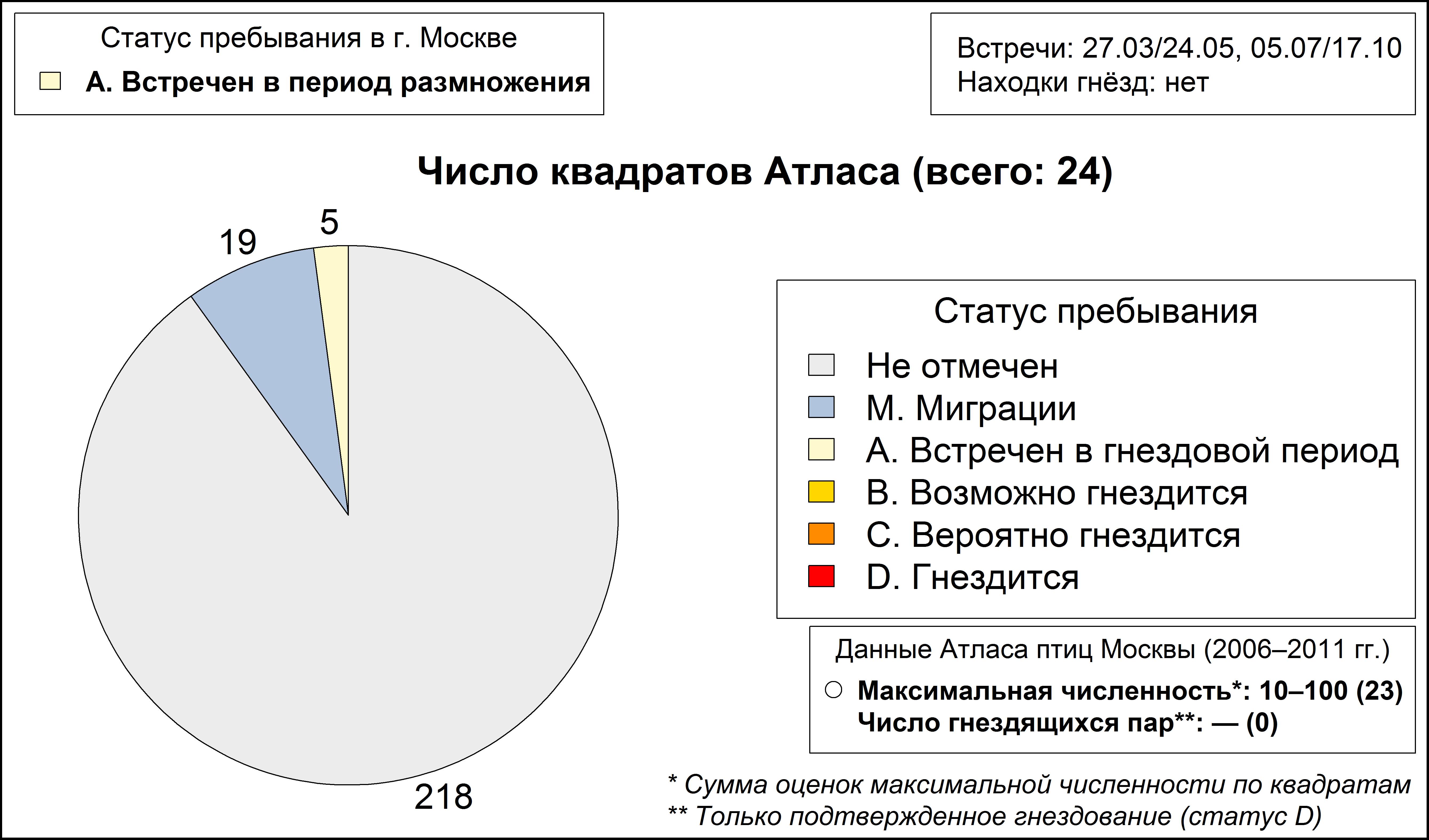 Болотный лунь