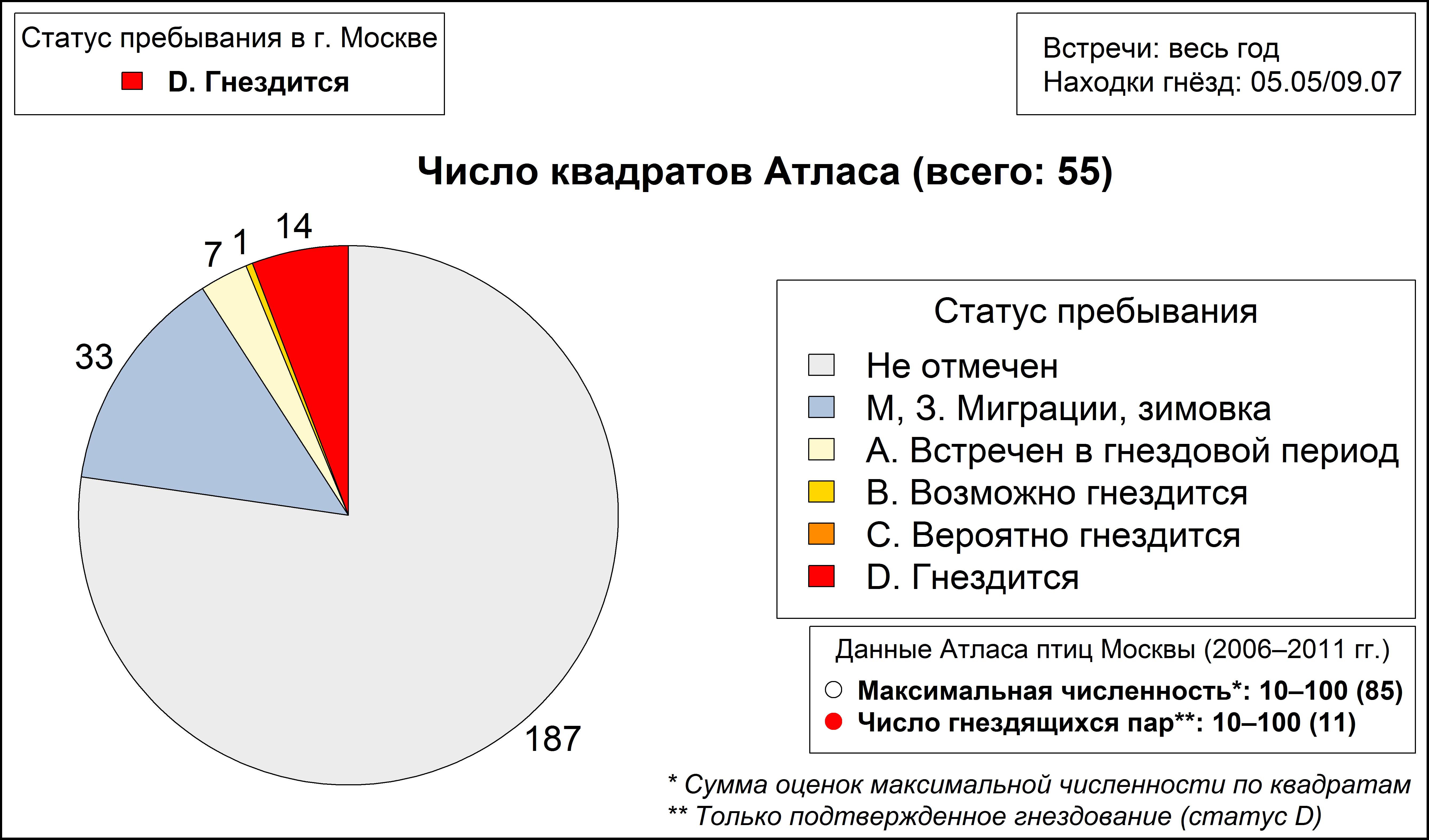 Лысуха