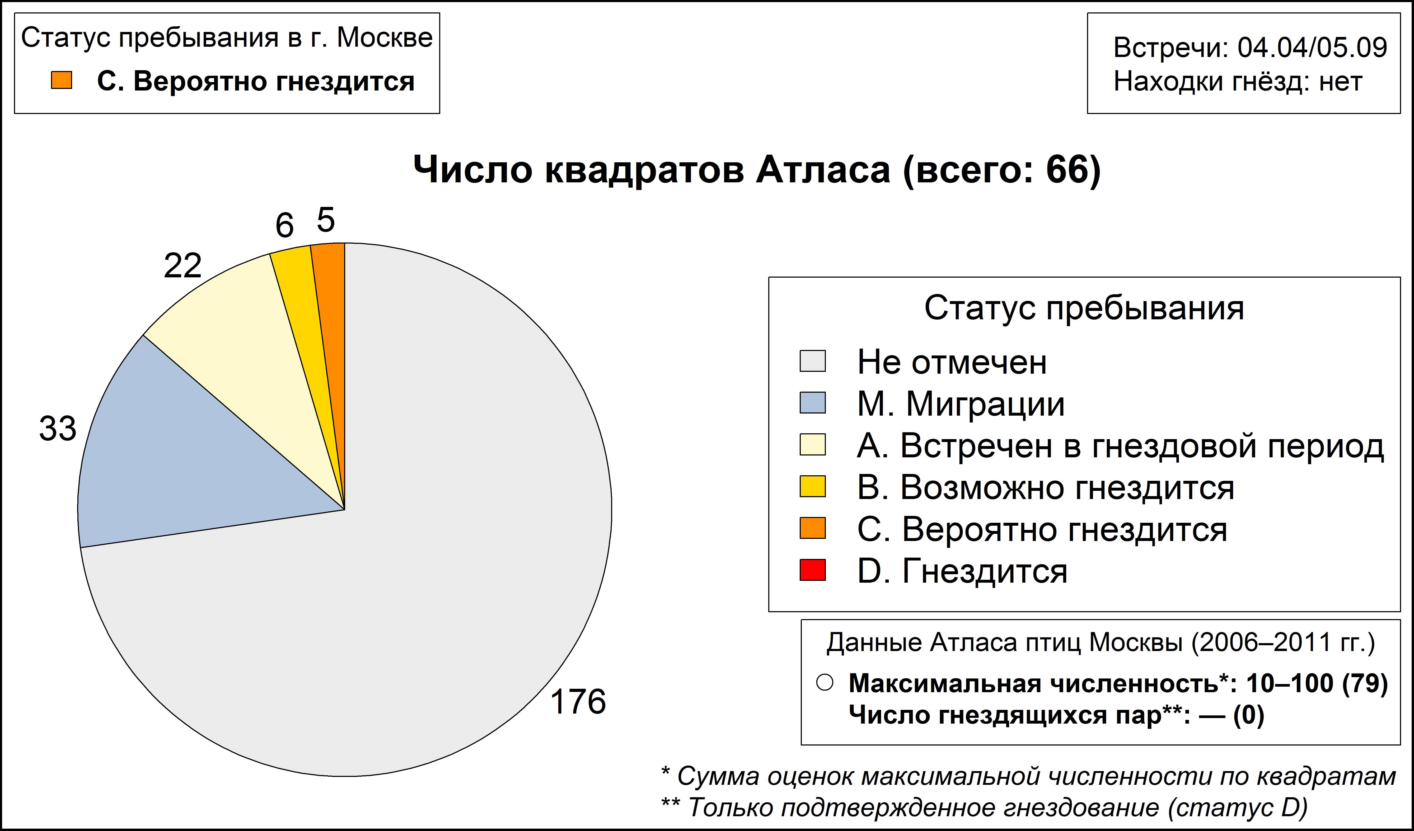 Программа птицы Москвы и Подмосковья | Черныш (<i>Tringa ochropus</i>)